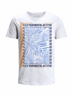 Camiseta para Hombre en Tejido De Punto 100% Algodón Tubular Manga Corta marca Nexxos 39860